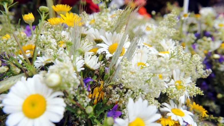 Informācija par pieteikšanos tirdzniecībai pasākumā "Zāļu tirgus 2025" Doma laukumā