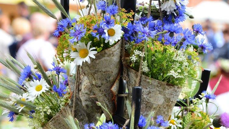 Informācija par pieteikšanos tirdzniecībai pasākumā "Zāļu tirgus 2024" Doma laukumā