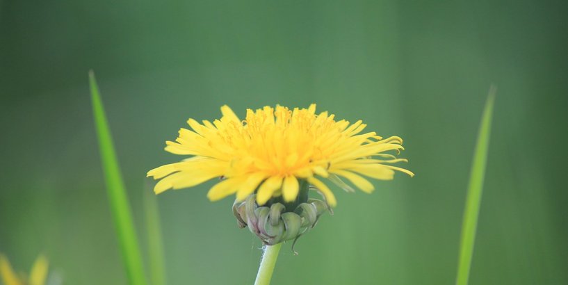 Rīgas pašvaldības atbalstīto vasaras nometņu saraksti