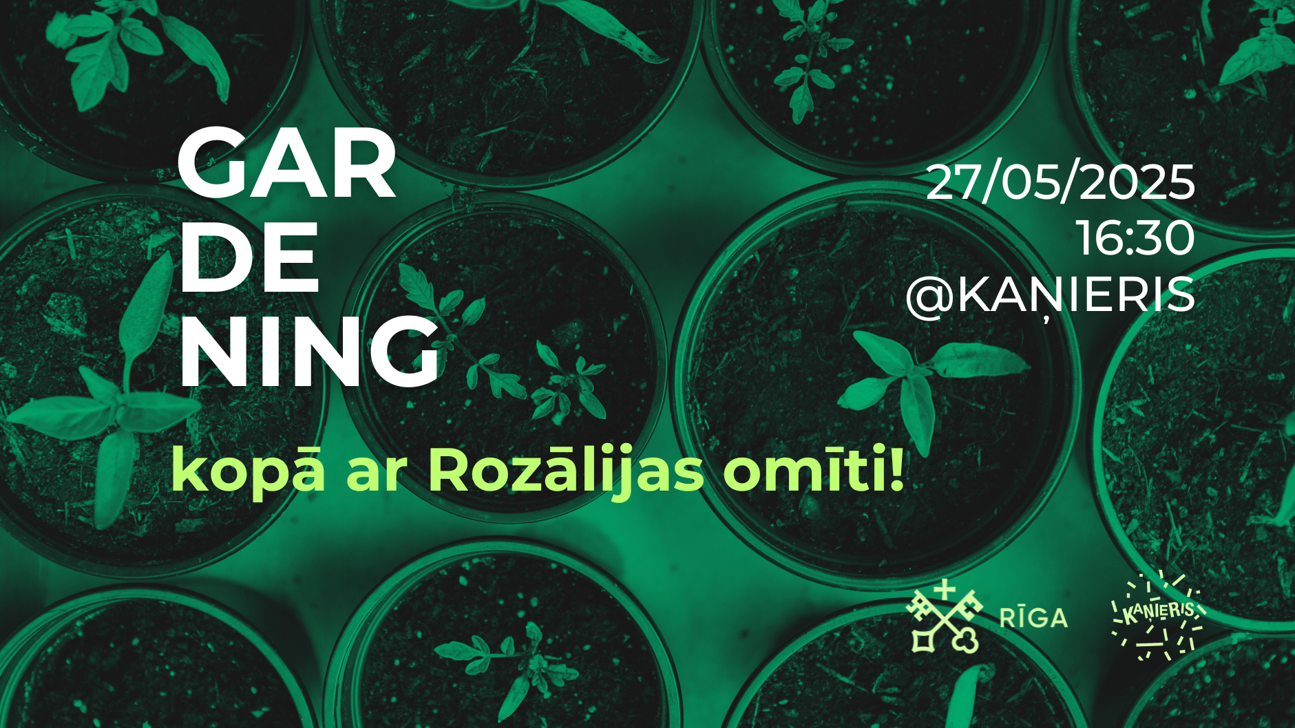 Stādām kopā ar jauniešiem un Rozālijas omīti 