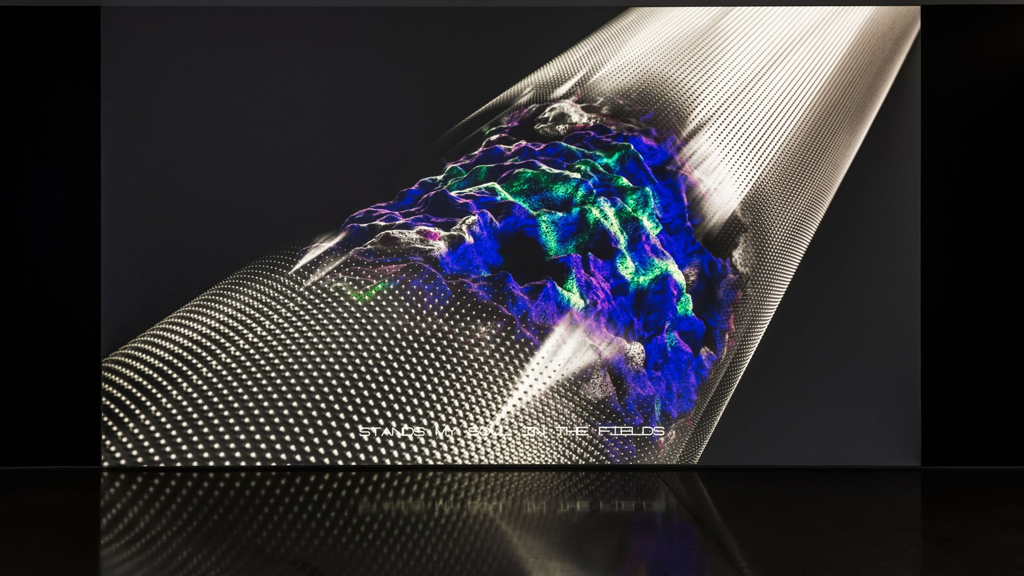 Rīgas Fotogrāfijas biennāles – NEXT 2025 izstāde 