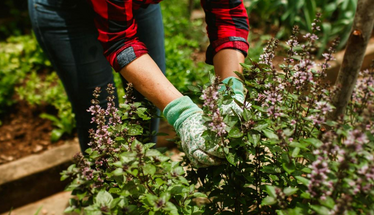 Izsludināts konkurss Rīgas valstspilsētas pašvaldības iestādēm līdzfinansējuma saņemšanai dalībai NVA programmā