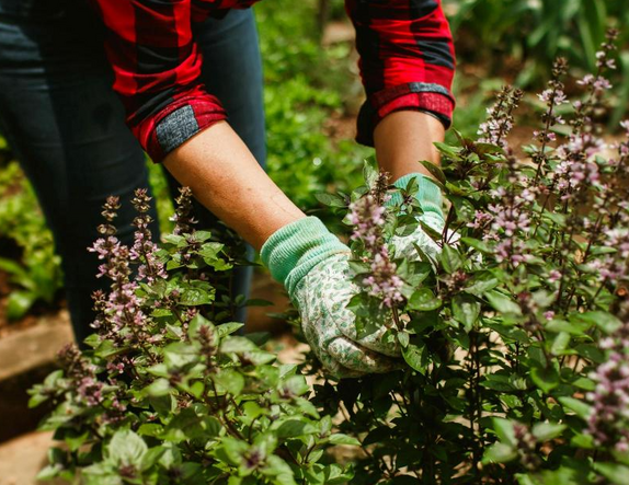Izsludināts konkurss Rīgas valstspilsētas pašvaldības iestādēm līdzfinansējuma saņemšanai dalībai NVA programmā