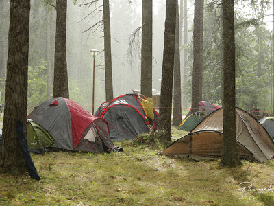 SK_100_Martins Plume (145).jpg