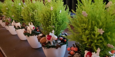 Rīgas bērnudārzi iegūst sertifikātu “Bērniem drošs un draudzīgs bērnudārzs”