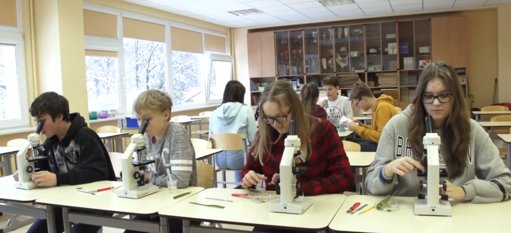 Atbalsts individuālo kompetenču attīstībai